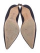 Manolo Blahnik Suede Pumps