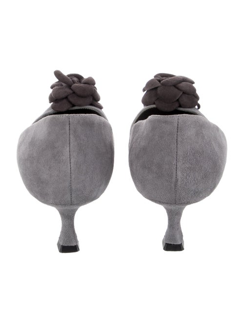 Manolo Blahnik Suede Bow Accents Pumps