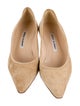 Manolo Blahnik Suede Pumps