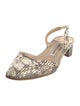 Manolo Blahnik Snakeskin Animal Print Slingback Pumps
