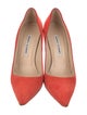 Manolo Blahnik Suede Pumps