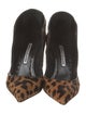 Manolo Blahnik Ponyhair Animal Print Pumps