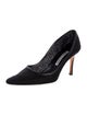 Manolo Blahnik Leather Pumps