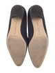Manolo Blahnik Suede Crystal Embellishments Ballet Flats