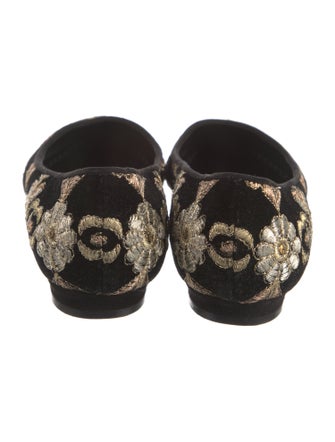 Manolo Blahnik Suede Floral Print Ballet Flats