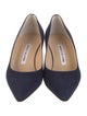 Manolo Blahnik Suede Pumps