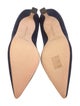 Manolo Blahnik Suede Pumps