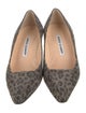 Manolo Blahnik Suede Animal Print Pumps
