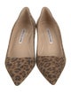 Manolo Blahnik Suede Animal Print Pumps