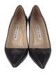 Manolo Blahnik Leather Pumps