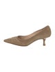 Manolo Blahnik Suede Pumps
