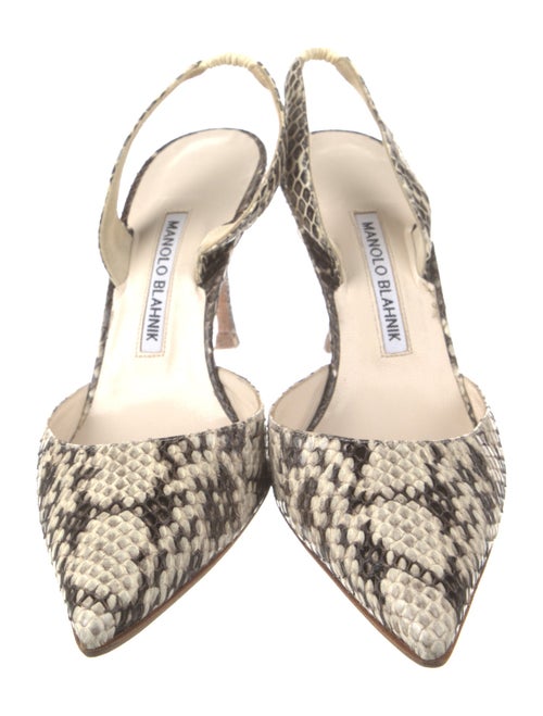 Manolo Blahnik Snakeskin Animal Print Slingback Pumps