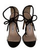 Manolo Blahnik Suede Sandals