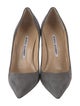 Manolo Blahnik Suede Pumps