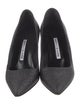 Manolo Blahnik Glitter Glitter Accents Pumps