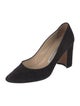 Manolo Blahnik Suede Pumps