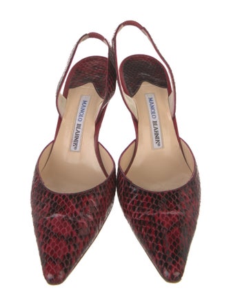 Manolo Blahnik Snakeskin Animal Print Slingback Pumps