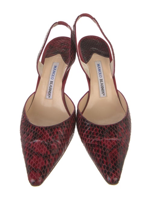 Manolo Blahnik Snakeskin Animal Print Slingback Pumps