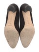 Manolo Blahnik Suede Pumps