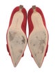 Manolo Blahnik Suede Pumps