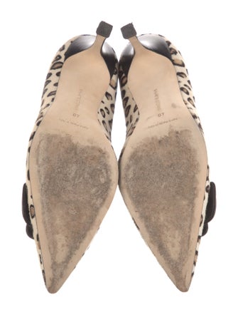 Manolo Blahnik Ponyhair Animal Print Pumps