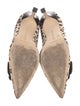 Manolo Blahnik Ponyhair Animal Print Pumps
