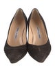 Manolo Blahnik Suede Pumps