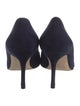 Manolo Blahnik Suede Pumps