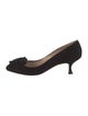 Manolo Blahnik Suede Pumps