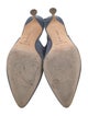Manolo Blahnik Suede Mules