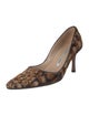 Manolo Blahnik Ponyhair Printed Pumps