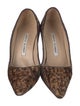 Manolo Blahnik Ponyhair Printed Pumps