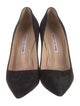 Manolo Blahnik Suede Pumps
