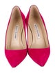 Manolo Blahnik Suede Pumps