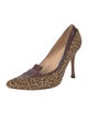 Manolo Blahnik Ponyhair Printed Pumps