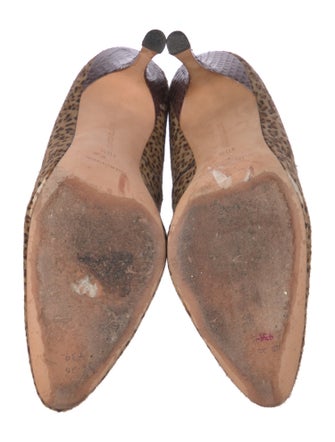 Manolo Blahnik Ponyhair Printed Pumps