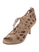 Manolo Blahnik Suede Animal Print Pumps