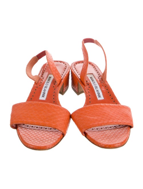 Manolo Blahnik Snakeskin Slingback Flats