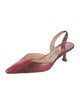 Manolo Blahnik Snakeskin Animal Print Slingback Pumps