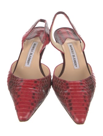 Manolo Blahnik Snakeskin Animal Print Slingback Pumps