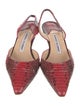 Manolo Blahnik Snakeskin Animal Print Slingback Pumps