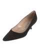 Manolo Blahnik Suede Pumps