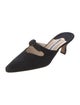 Manolo Blahnik Suede Mules