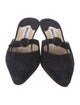 Manolo Blahnik Suede Mules