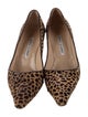 Manolo Blahnik Ponyhair Animal Print Pumps