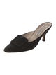 Manolo Blahnik Suede Mules