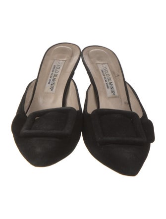 Manolo Blahnik Suede Mules