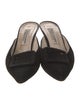 Manolo Blahnik Suede Bow Accents Mules