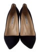 Manolo Blahnik Suede Pumps