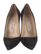 Manolo Blahnik Suede Pumps